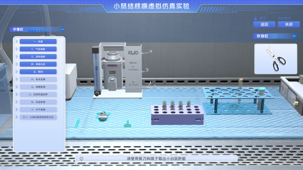 动物解剖(小鼠)虚拟仿真实验